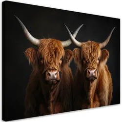 WANDBILD tiere der schottischen hochlandkühe