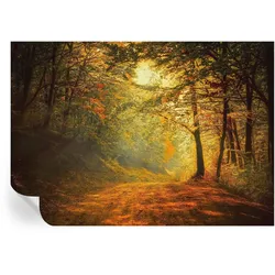 FOTOTAPETE 312x219 cm - Herbstlandschaft