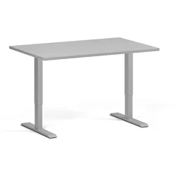 Höhenverstellbarer Schreibtisch, 2 Motoren, 74-121 cm, Tischplatte 120x80 cm, graues Metallgestell, grau