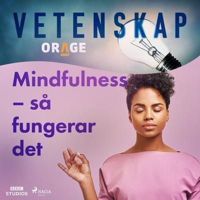 Mindfulness – så fungerar det - Orage, Audio, 9788726273960