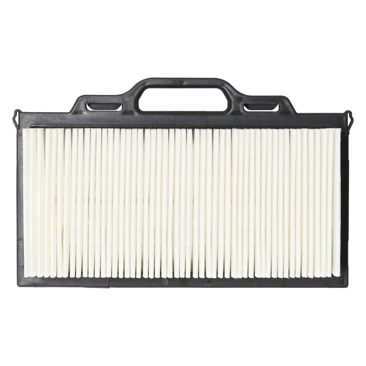 Dedra Hepa-Typ Filter für DED6603 (DED66033)