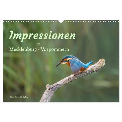 Impressionen aus Mecklenburg - Vorpommern (Wandkalender 2026 DIN A3 quer), CALVENDO Monatskalender