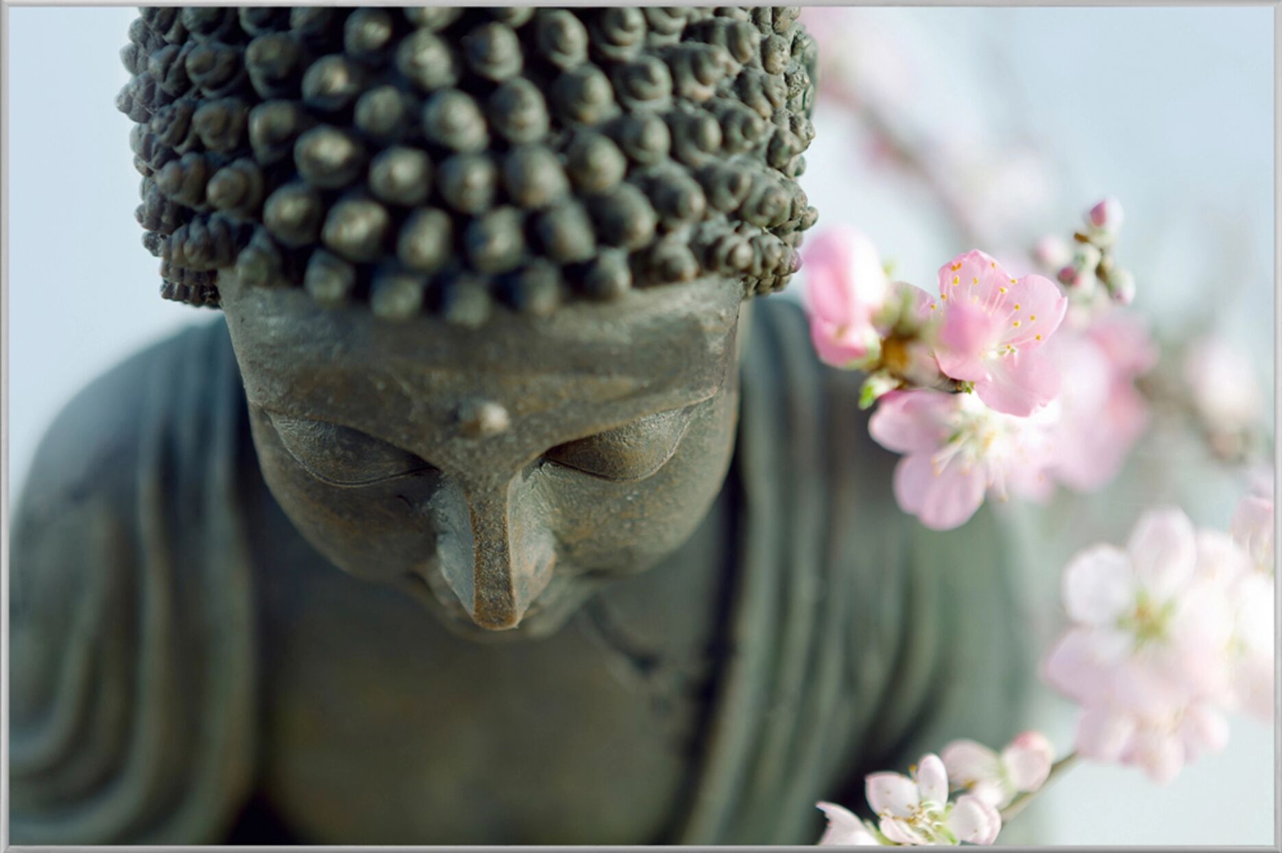 image LAND Buddha