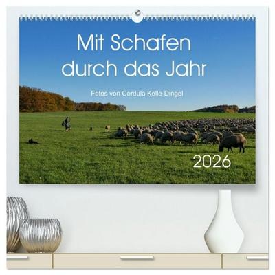 Mit Schafen durch das Jahr (hochwertiger Premium Wandkalender 2026 DIN A2 quer), Kunstdruck in Hochglanz