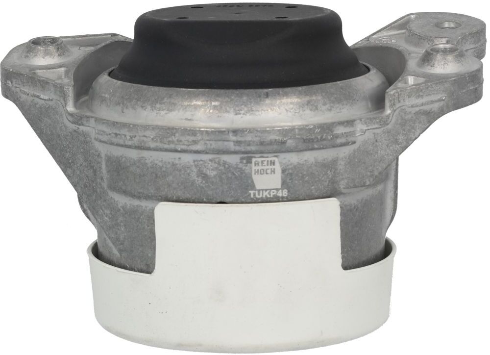 Reinhoch Supporto motore RH11-3170