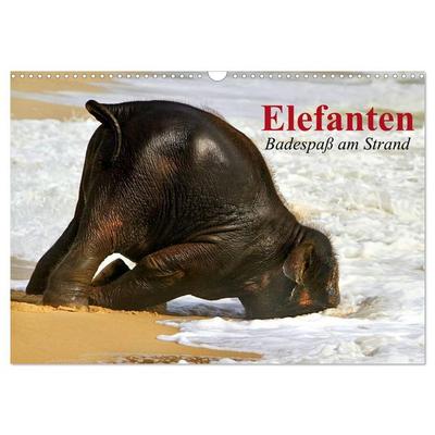 Elefanten. Badespaß am Strand (Wandkalender 2026 DIN A3 quer), CALVENDO Monatskalender