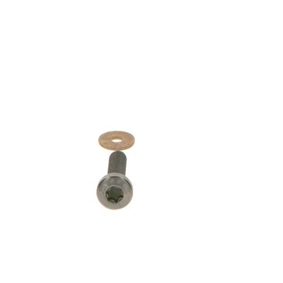 BOSCH Schraube F 00N 202 193 für RENAULT