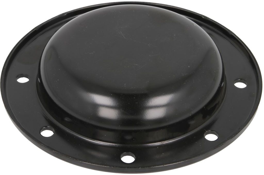 Cache-moyeu ZF 0501318087ZF