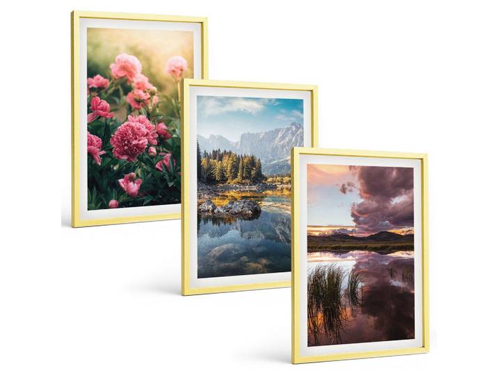 BILDER SET 3er Set - 40x60 cm Goldrahmen - Blumengarten Berge Wasser