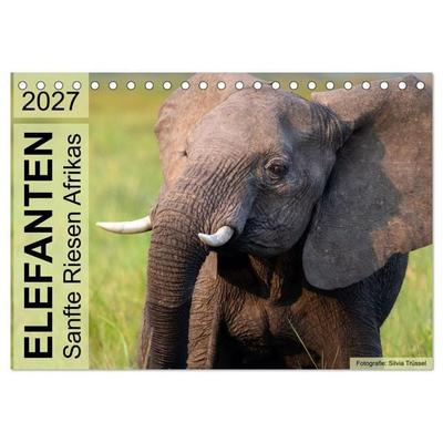 Elefanten - Sanfte Riesen Afrikas (Tischkalender 2027 DIN A5 quer), CALVENDO Monatskalender