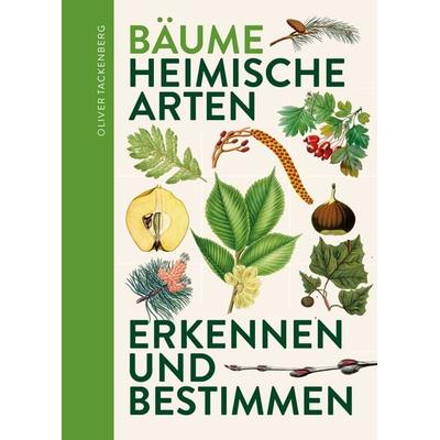 Bäume, Taschenbuch von Oliver Tackenberg, Favoritenpresse GmbH, 978-3-96849-084-7