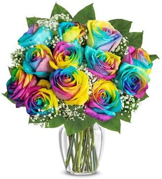 From You Flowers Flowers - One Dozen Wild Rainbow Roses