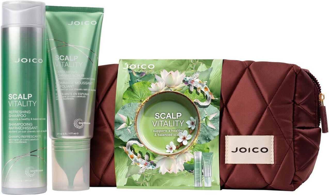JOICO Scalp Vitality Dreamscape Duo Gift Set