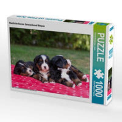 CALVENDO Puzzle Niedliche Berner Sennenhund Welpen 1000 Teile Lege-Größe 64 x 48 cm Foto-Puzzle Bild von Annett Mirsberger