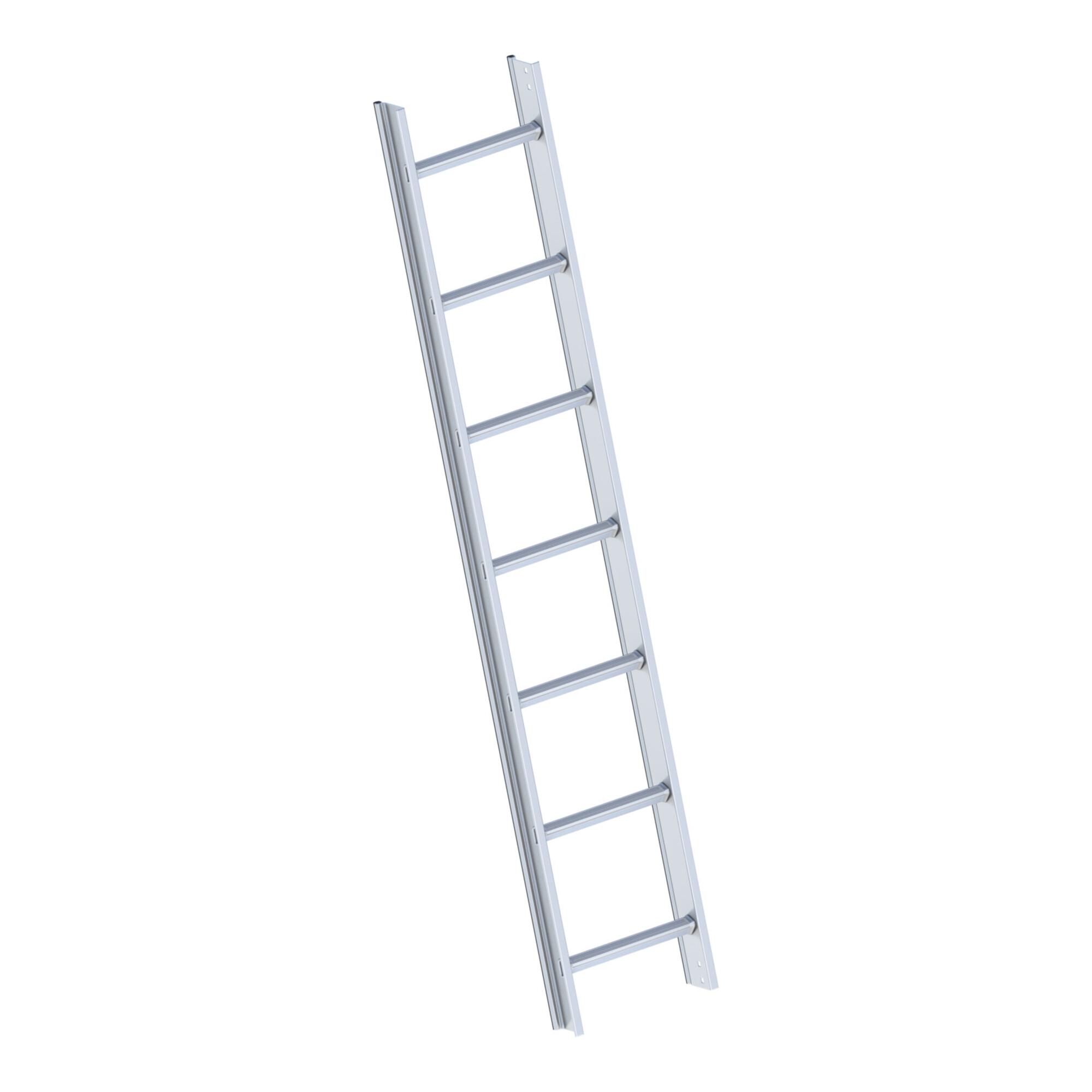 Layher Dachauflegeleiter 1051 10 Sprossen braun RAL 8011 (1051210)