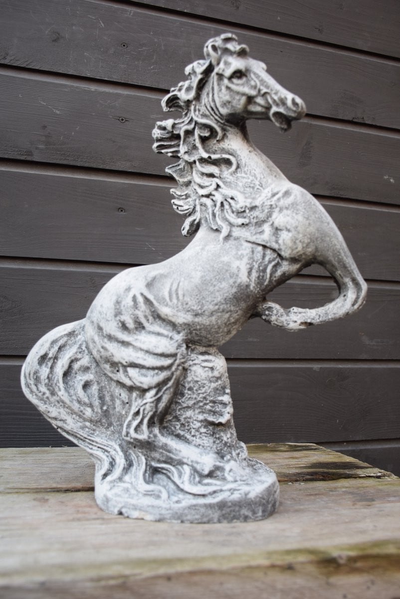 Steigerend Paard voor volwassenen
