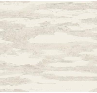 Candice Olson Artistic Coral Tides Wallpaper
