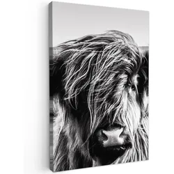 LEINWANDBILD Kuh - Schottischer Hochländer - Schwarz - Weiß - Tier - Natur - Wildtiere Deko Groß 90x140 cm