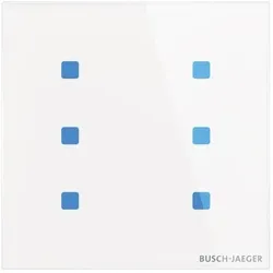 Busch-Jaeger Touch-Bedienelement TB/U6.5.11-CG