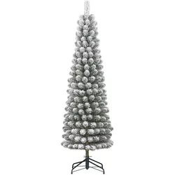 Black Box, Weihnachtsbaum, Charlton Pilar (215 cm)