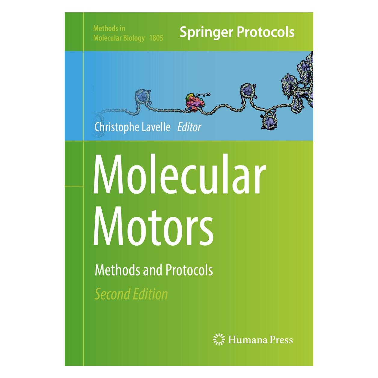 Springer Molecular Motors (9781493985548)