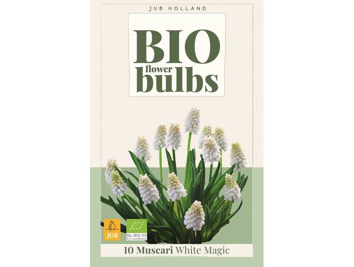 Bio muscari white magic 10 bollen