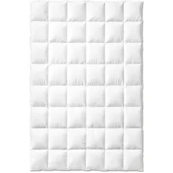 Typ Eiderdaune Kassettendecke classic