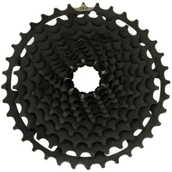 e*thirteen Helix Plus Stahlritzel 12-fach 9-36 Zähne schwarz
