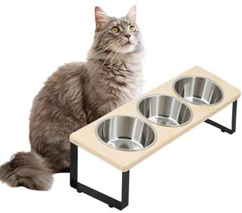 Fusion Finds Bowl Elevated Cat Feeder Stand With Waterproof Silicone Feeding Mat cat Bowls