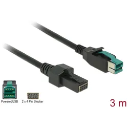 DELOCKPowered USB Kabel 12V St > 2x4Pin St 3.0m