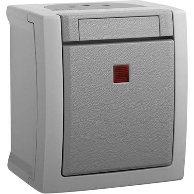 Panasonic Kontroll-/Ausschalter 90591028-DE
