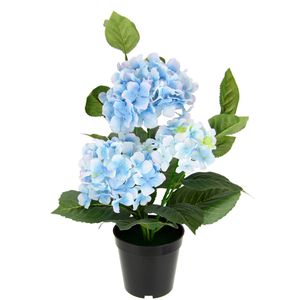 I.GE.A. Kunstblume Hortensie, blau, im Topf, Höhe 50 cm