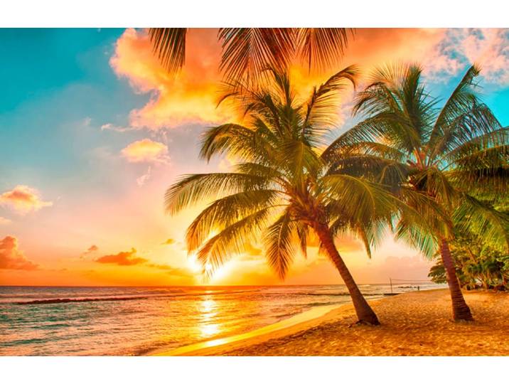 Fototapete PAPERMOON Barbados Palm Beach , bunt, B:2,5m L:1,8m, Vlies, Tapeten, Fototapete