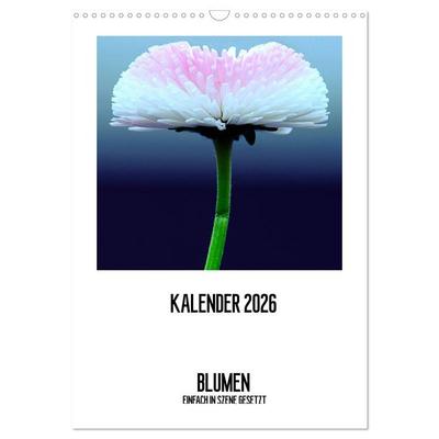 BLUMEN EINFACH IN SZENE GESETZT (Wandkalender 2026 DIN A3 hoch), CALVENDO Monatskalender