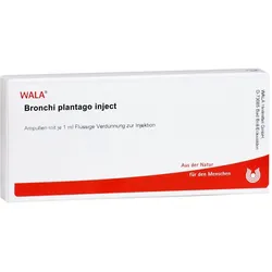 Bronchi Plantago Inject