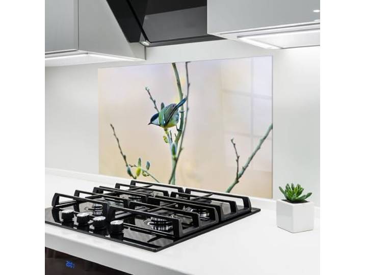 ARTHUB® Küchenrückwand aus Glas 60x100 cm, 4mm ESG Spritzschutz, Glasplatte, Herdspritzschutz, Wandschutz für Herd, Hartglas, Landschaften, Frühling, Beautiful Spring Bird
