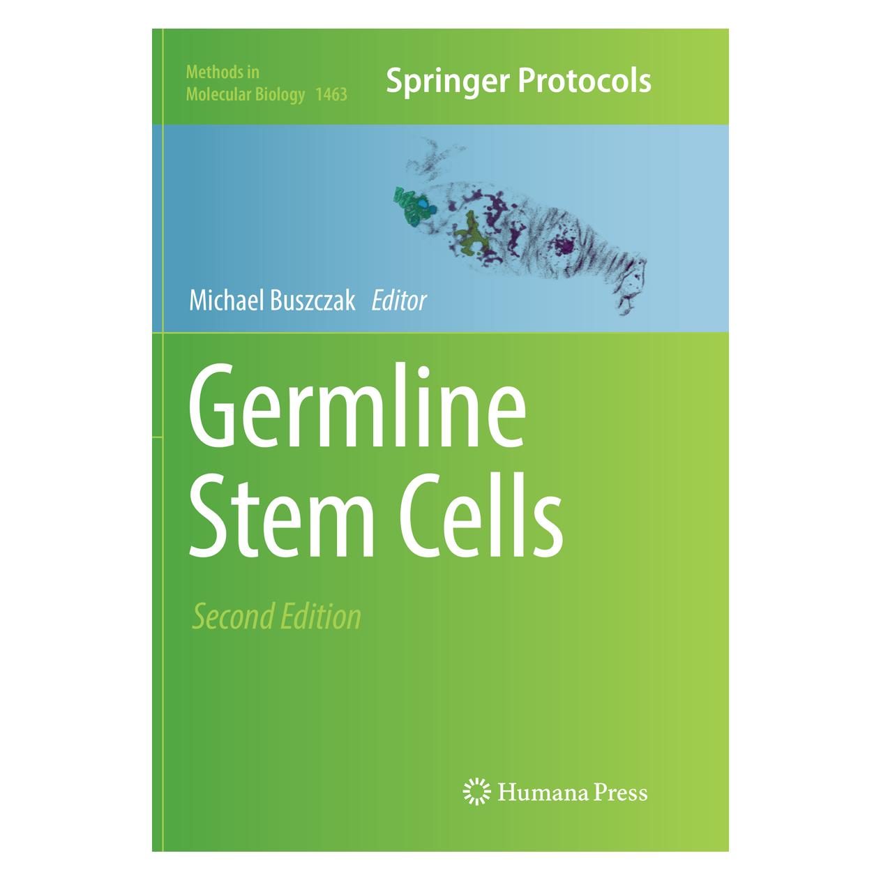 Springer Germline Stem Cells (Englisch, Softcover, Michael Buszczak) (56009512)