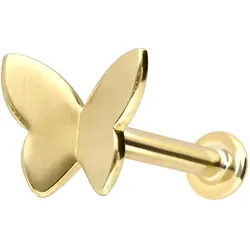 14 Karat Gold Labret mit Push Fit SCHMETTERLING