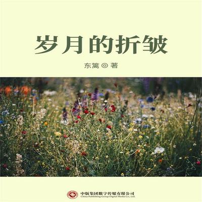 岁月的折皱 - 东篱, Audio, 4071498599372
