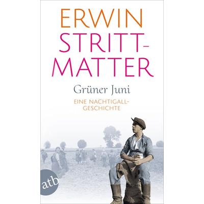 Grüner Juni, Taschenbuch von Erwin Strittmatter, Aufbau TB, 978-3-7466-5433-1