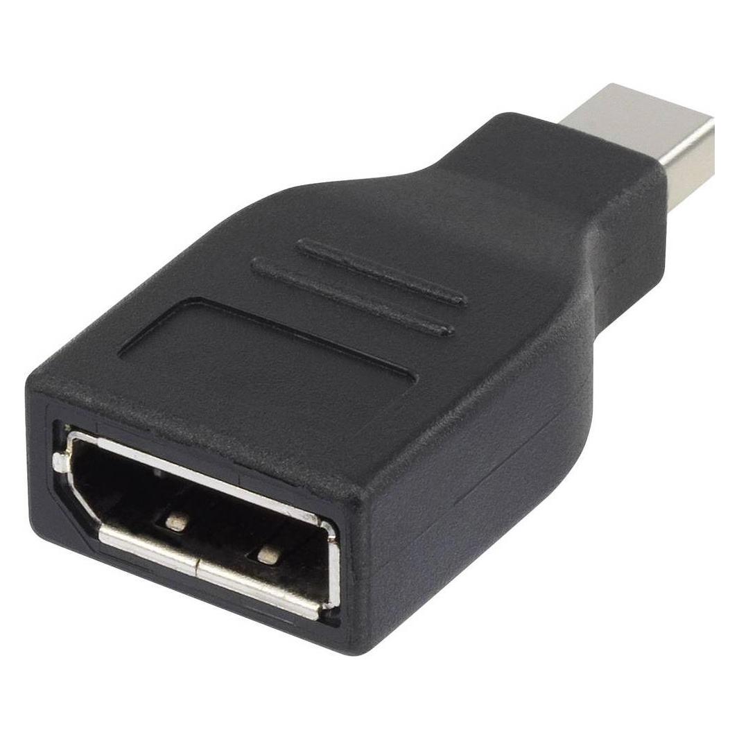 Renkforce DisplayPort Anschlusskabel 0.5 m (0.50 m) (null)