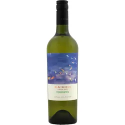 Kaiken Terroir Series Torrontés 2024