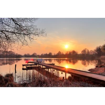 Fototapete PAPERMOON "HOLZ-BRÜCKE-PIER STEG SEE STRAND WALD SONNENUNTERGANG", bunt, B:2,5m L:1,86m, Vlies, Tapeten