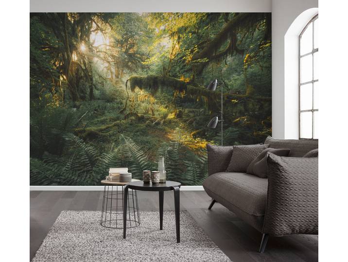 Fototapete Hall of Mosses 400 x 250 x 0cm