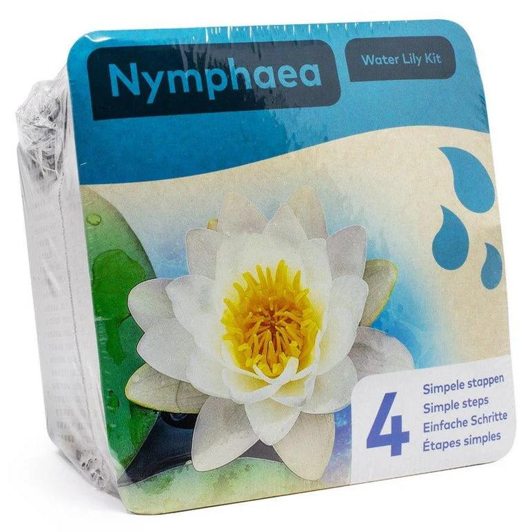Moerings Witte Waterlelie Vijverplant Droogverpakking