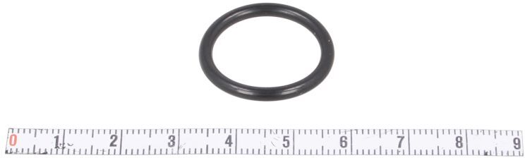 Wabco O-ring in gomma 897 073 076 4