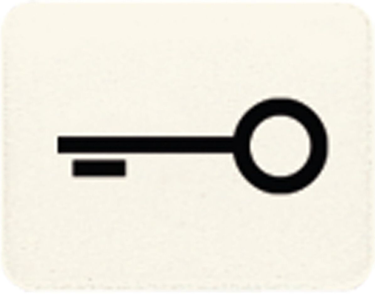 Jung Symbol ws TÜR 33 T (33T)