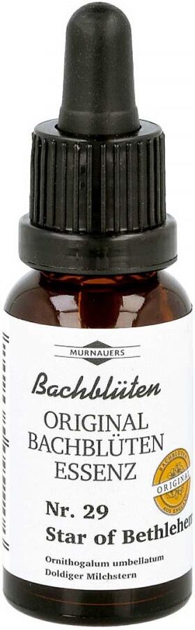 Bachblüten Murnauer Tropfen Star of Bethlehem