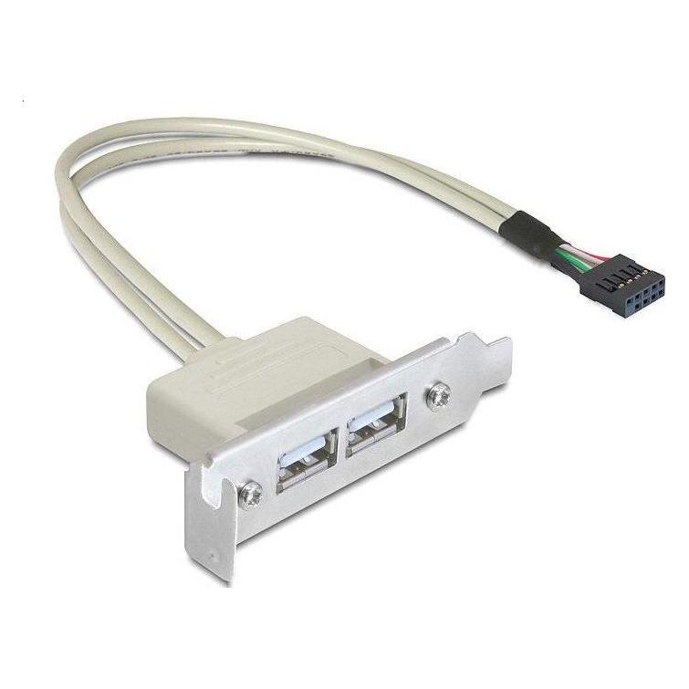 Delock low profile Slotblech 2x USB 2.0 zu Header (0.50 m, USB 2.0) (83119)