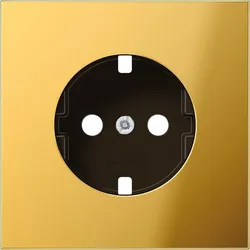 Jung Platte GO 1520 PL GO1520PL